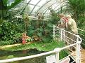 Botanická zahrada MU Brno